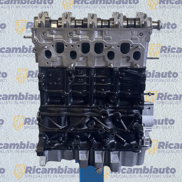 Motore Revisionato Volkswagen/Audi BMM, 2.0, Diesel