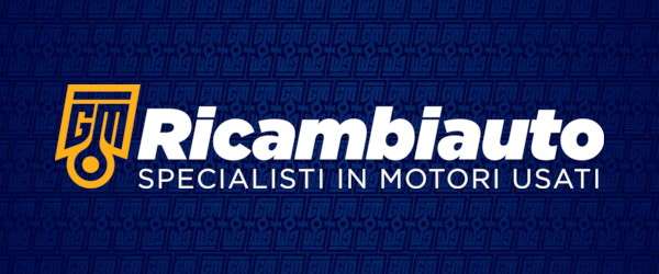 gm ricambi auto - chi siamo